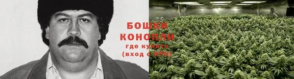трава Арсеньев