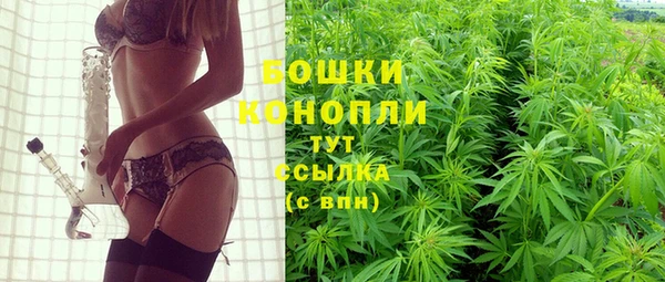 трава Арсеньев
