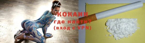 трава Арсеньев