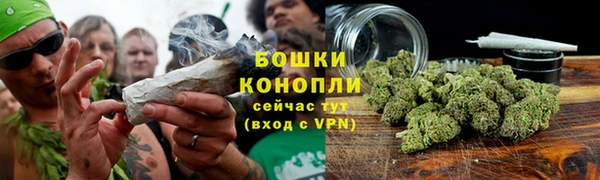 трава Арсеньев