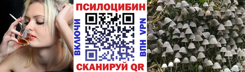 Псилоцибиновые грибы Psilocybe  Россошь 